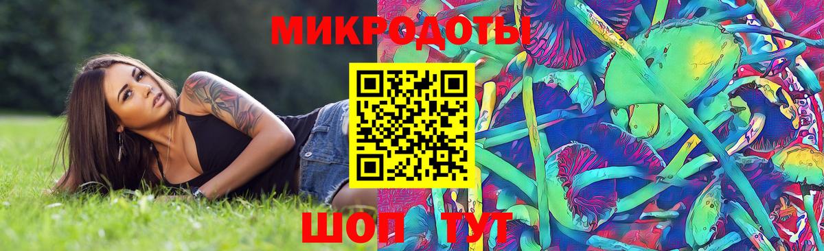 Псилоцибиновые грибы GOLDEN TEACHER Нижний Тагил