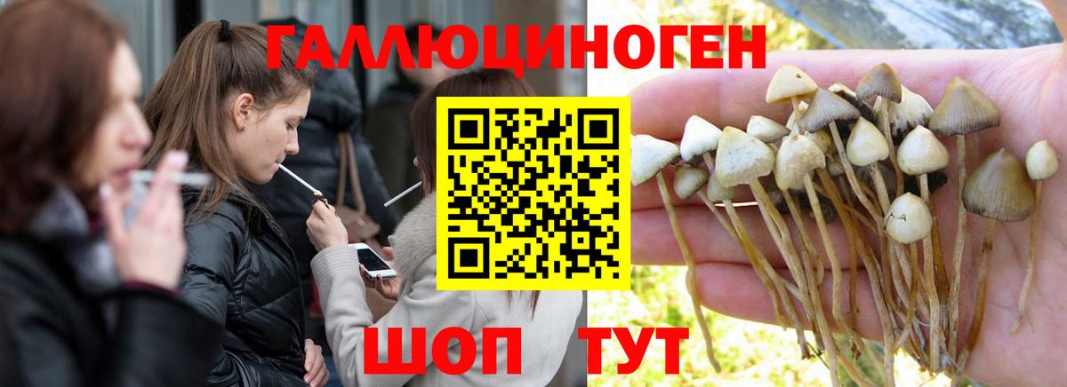 Галлюциногенные грибы мухоморы  Вход с VPN  Нижний Тагил  Псилоцибиновые грибы GOLDEN TEACHER 
